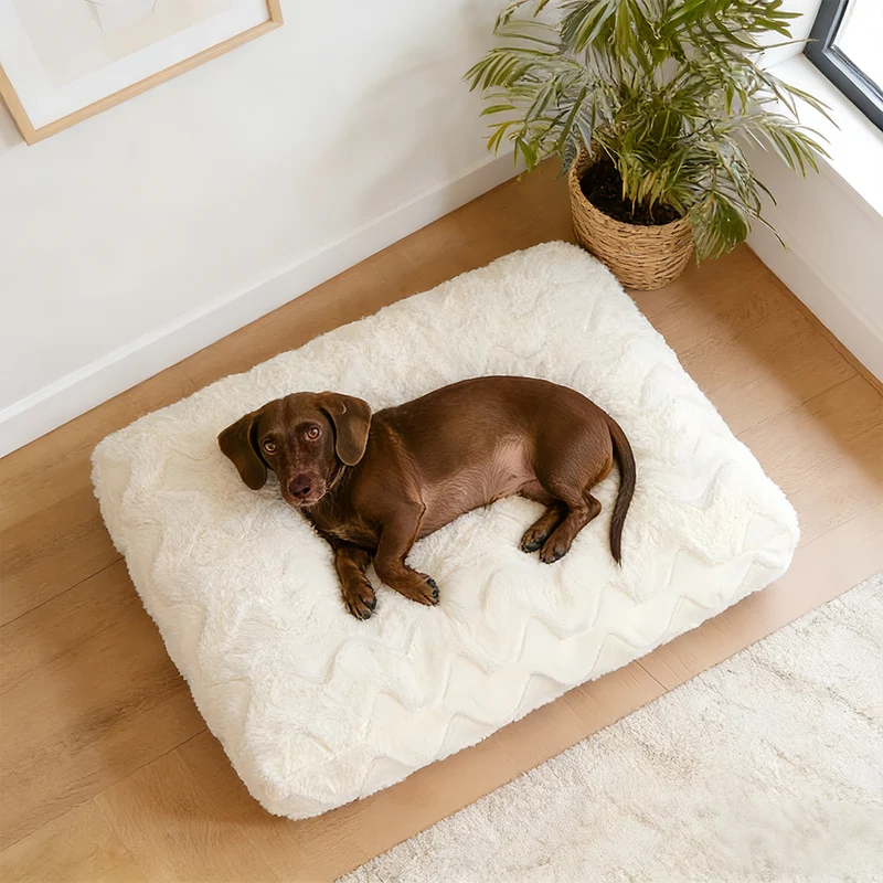 Weiches, texturiertes Hundekissen