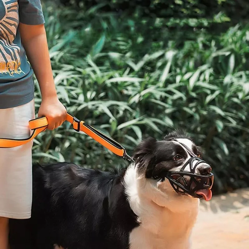 SafeBark Hundemaulkorb – Effektive Anti-Beiß- und Anti-Bell-Lösung, atmungsaktiv und bequem | Skanto
