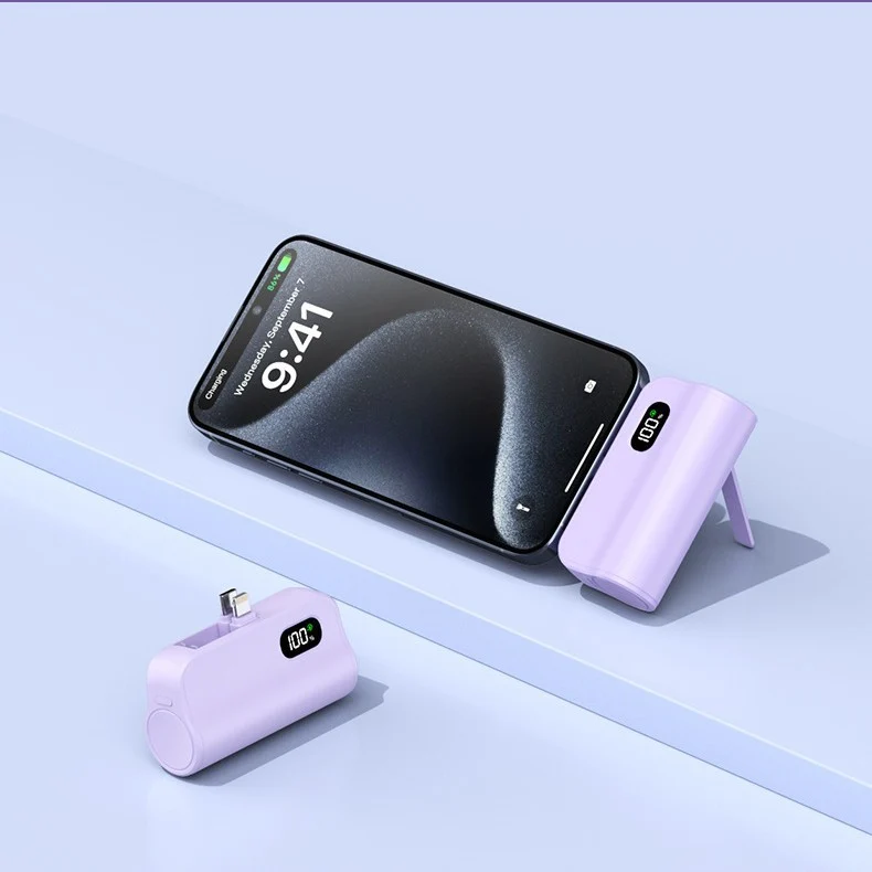 Kompakte Dual-Charge Powerbank mit Digitalanzeige Skanto